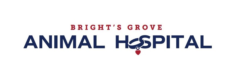 Bright's Grove Animal Hospital